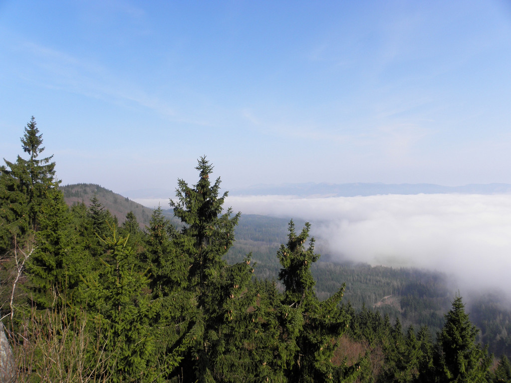 Mists over the valley of Scinawka